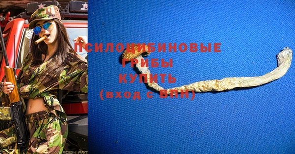 сатива Арсеньев