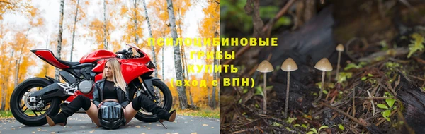 сатива Арсеньев