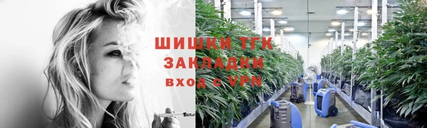 сатива Арсеньев